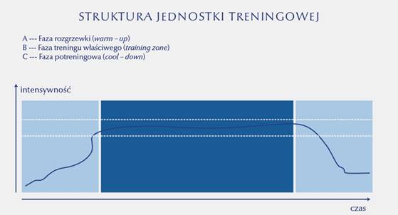Struktura jednostki treningowej